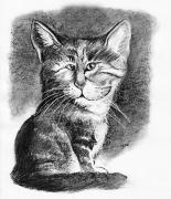 chat02
