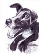 chien-2015