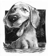 chien02